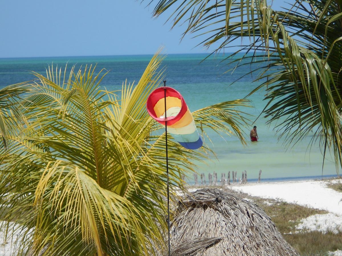 Beach Guesthouse Holbox Apartments & Suites Ilha Holbox Exterior foto
