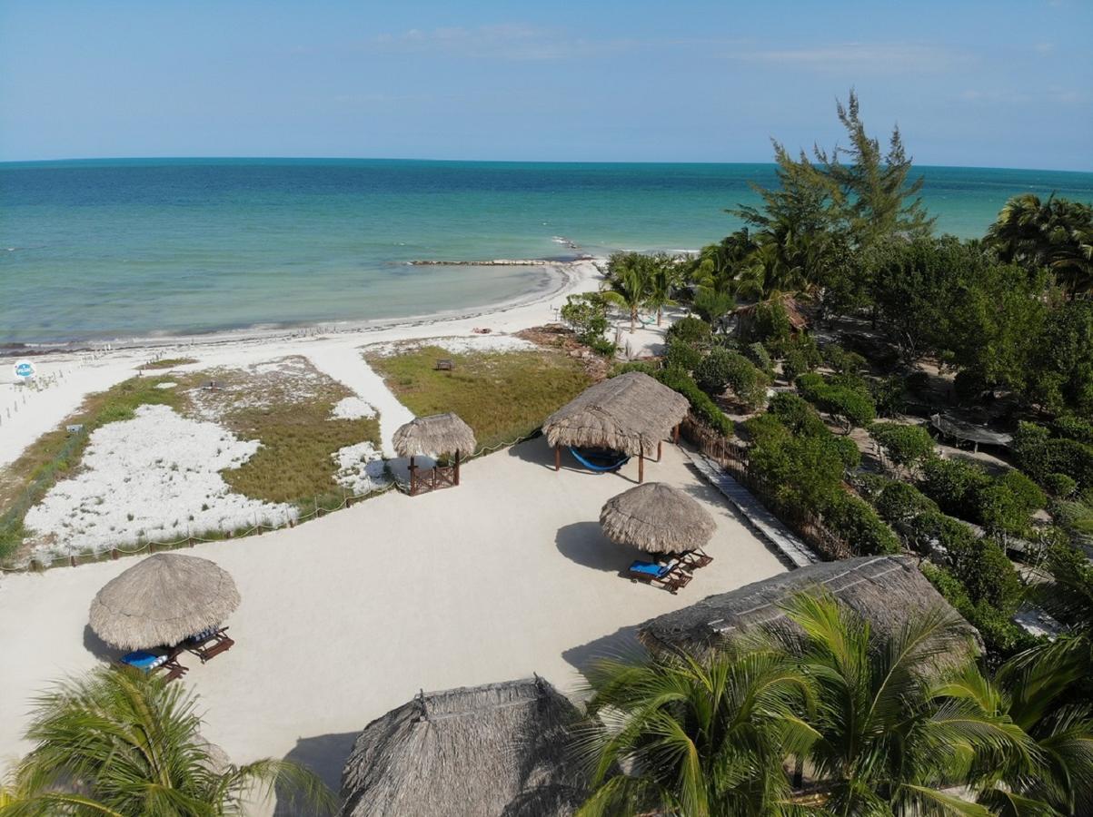 Beach Guesthouse Holbox Apartments & Suites Ilha Holbox Exterior foto
